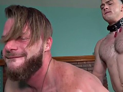 Anál, Kuřba, Gay, Vlasatej, Svaly