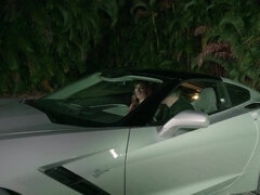 Baben, Avsugning, Bil, Doggystyle, Ansiktsbehandling, Flickvän, Naturliga tuttar, Utomhus