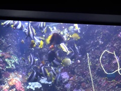 Pláž, Kuřba, Nohy, Footjob, Vlasatej, Z pohľadu účastníka, Pička, Vychudnutá