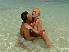 Strand, Grosser arsch, Grosser schwanz, Grosse titten, Blondine, Blasen, Hundestellung, Milf