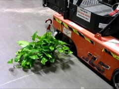 アナル, ズームショット, ダンス, エクストリーム, 指いじり, 足フェチ, 公共, スカートのぞき