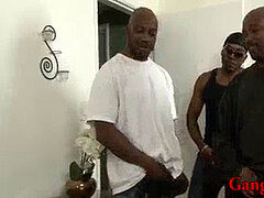 Anal, Kukk suging, Dobbel penetrering, Gruppesex