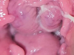 Толстушки, Толстые, Молоко, Киски