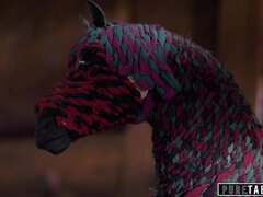 Hatalmas hátsó, Tekintélyes didik, Kebles, Pomponlány, Szőrös, Nyalás, Nuni, Begyek