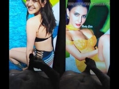 Grosser schwanz, Indisch, Flotter dreier