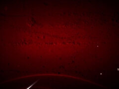 Monumentális dákó, Szőke, Cumizás, Pénisz, Kőkemény, Hd