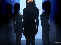 Suihinotto, Alistaminen, Nainen, Lateksi, Pillu