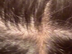 Amateur, Belleza, Mamada, Morena, Latina, Perforación, Pov, Adolescente