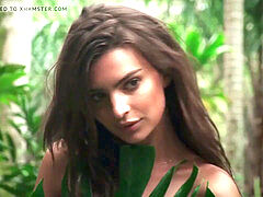 Celebridade, Coleção