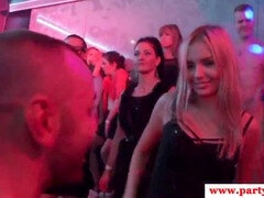 아마추어, 유럽인, 키스, 파티