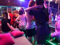 Gesztenyebarna, Táncolás, Kőkemény, Fajok közötti, Nyalás, Buli, Nuni, Swingers