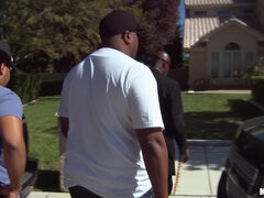 Svart, Dype svelg, Hardcore, Raseblandet, Moden, Realitet, Ludder, Trekant