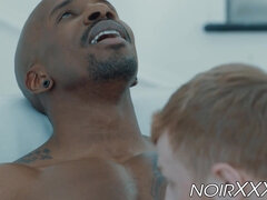 Anál, Veľké péro, Kuřba, Gay, Hardcore, Medzirasové, Ryšavé, Rimjob