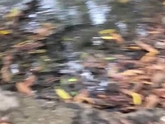 Amatőr, Cumizás, Latin lány, Szabadban