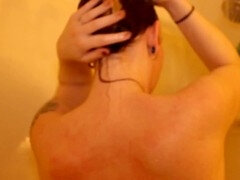 Salle de bains, Britannique, Chatte