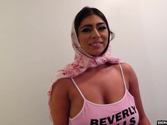 Arab, Hatalmas hátsó, Tekintélyes didik, Gesztenyebarna, Kebles, Diákotthon, Érdekes, Egyetemista