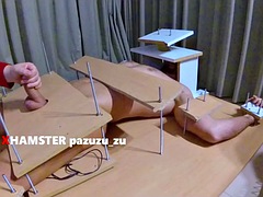 Bdsm, Stor kukk, Cfnm, Sperm skott, Føtter, Dominerende kvinne, Runke