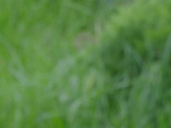 Blondynka, Puma, Fetysz, Dżinsy, Mamuśka, Sikanie, Solo, Szwajcarski