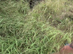 Ερασιτέχνης, Μπικίνι, Ξανθιά, Η κοπέλα μου, Πρώτου προσώπου, Μουνί, Τατουάζ, Βυζιά