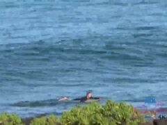 Culo, Bionda, Pompino, Sega, Punto di vista pov, Figa, Ragazza, Tette