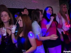 아마추어, 댄싱, 도기스타일, 유리들, 핸드잡, 하드코어, 흥청망청 놀기, 스타킹