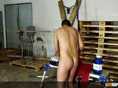 Festlig, Homofil, Milf