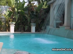 Mačiatko, Veľké péro, Veľké kozy, Kuřba, Prsnatá, Medzirasové, Bazén, Teenka