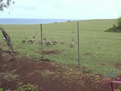 해변, 금발의, 청바지, 셀카, 면도된, 짧은 머리, 빼빼한, 스모킹