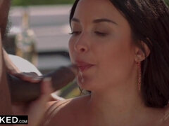 BLACKED Hottie French Girl Gets DPed by two Huge BBCs at Party - Anissa kate