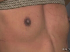 Gesztenyebarna, Ébenfekete, Fétis, Hd, Fajok közötti, Leszbikus, Fenekelés, Játékszerek