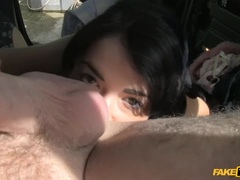 Auto, Na pejska, Na obličej, Prstění, Výprask, Různé pohledy, Pička, Rimjob