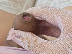 Amatör, Asiatisk, Handjobb, Ladyboy, Onani, Shemale, Solo, Stockings