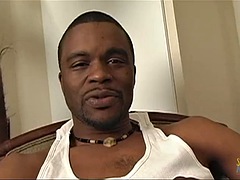 Tette grandi, Nero, Pompino, Brunetta, Facciale, Hardcore, Mamma che vorrei scoparmi, Cavalcando