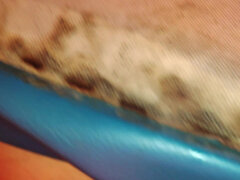 Iso perse, Pariskunta, Aisankannattaja, Latinankieli, Vanhempi, Vaimo