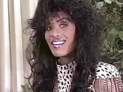 Tekintélyes didik, Gesztenyebarna, Kebles, Fajok közötti, Leszbikus, Érett feleség, Begyek, Régebbi évjáratú pornó