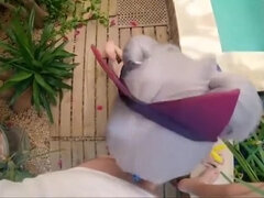 Ázijskej, Japonské, Z pohľadu účastníka