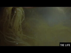 여자, Hd, 밀프, 엄마, 오르가슴, 보지, 빨간 머리, 젖은