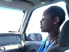 Kotě, Černé, Kuřba, Ebenové