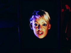 Britânico, Hd, Xoxota