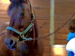 Amatéři, Vysokoškolačka, Exhibicionisti, Voyeur