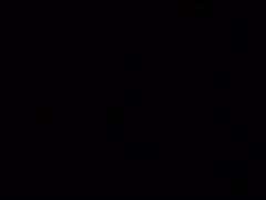 Amador amadora, Bebê, Britânico, Corno manso