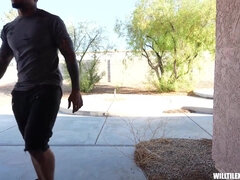 Fekete, Krémes süti, Felszarvazott, Pénisz, Fajok közötti