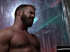 Anális szex, Monumentális dákó, Cumizás, Összeállítás, Meleg, Izmos