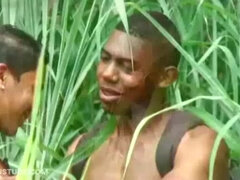 Stor svart kvinne, Sperm skott, Pikk, Homofil