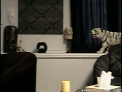 Amador amadora, Jato de porra