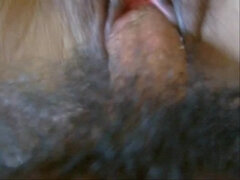 Azjatka, Duży tyłek, Duże cycki, Kutas, Gruba, Włochaty, Mamuśka, Punkt widzenia