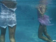 You Dropped My Purse In The Pool, Bitch!