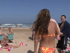 Naked Beach Day and Sunset Boat Ride - SpringbreakLife