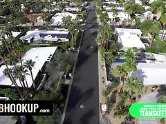 Arabskie, Ubrani, Styl na pieska, Hd, Cipka, Rzeczywistość, Ogolona