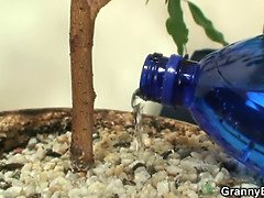 Rumpa, Vacker, Blondin, Avsugning, Bystig, Onani, Mogen, Fitta